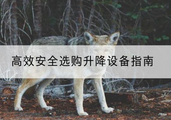 松山升降货梯厂家推荐-*安全选购升降设备指南