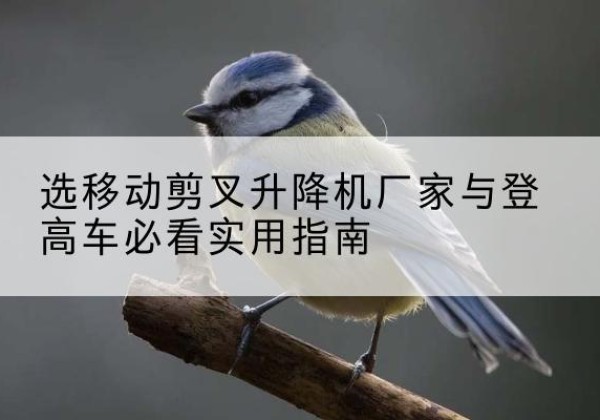 松山电动升降机厂家-选移动剪叉升降机厂家与登高车必看实用指南