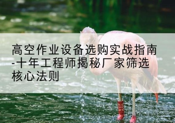 松山剪叉式升降机厂家-高空作业设备选购实战指南-十年工程师揭秘厂家筛选核心法则